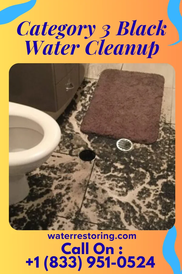 Category 3 Black Water Cleanup in Ashland, MO