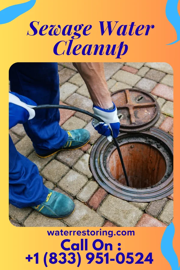 Sewage Water Cleanup in Ashland, MO
